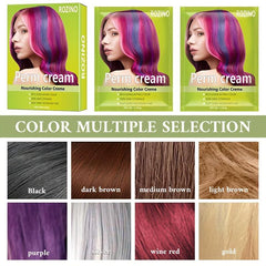 Professional Grayscale Covering Hair Dye Cream