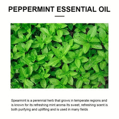 30ml Peppermint Essential Hair Care For All Hair Types