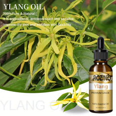 Ylang Extract Hair Essential Repair Split Ends Strengthen Hair Care