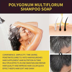 Coconut Ginger Hair Shampoo Natural Plant Hair Coloring