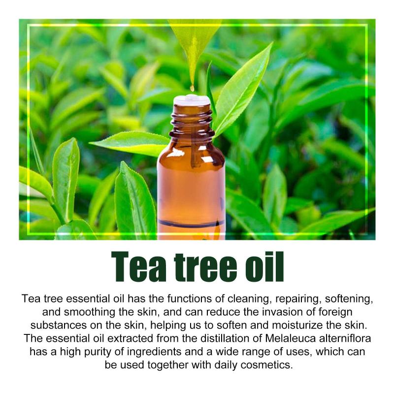 Tea Tree Essential Hair Care Serum 3pcs