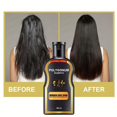 200ml 400ml Polygonum Shampoo Hair Care Shampoo Natural Hair Shampoo
