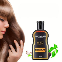 200ml 400ml Polygonum Shampoo Hair Care Shampoo Natural Hair Shampoo