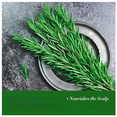 Natural Rosemary & Mint Hair Essential Infused With Biotin