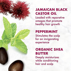 Rosemary Mint Scalp & Hair Strengthening with Biotin & Oils