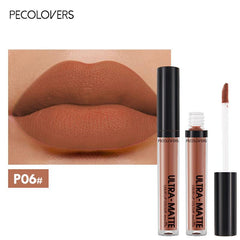 Long Lasting Velvet Matte Nude Brown Lip Gloss Waterproof Liquid Lipstick