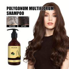 Organic Polygonum Multiflorum Hair Shampoo - Darkening Herbal Extracts
