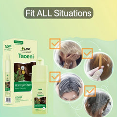Hair Dye Shampoo 100% Coverage Grey Hair Men Women