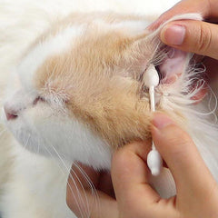55pcs Pet Safety Cotton Swabs For Dogs & Cats - Ear Cleaning Sticks