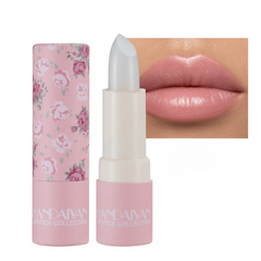 Matte Waterproof Lipstick Nude Lipstick Cosmetics