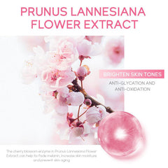 Sakura Firming Eye Cream for Dark Circles & Puffiness