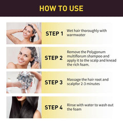 100ml Polygonum Multiflorum Hair Shampoo