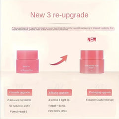 Korea Lip Sleep Mask Hydrate & Nourish While You Sleep