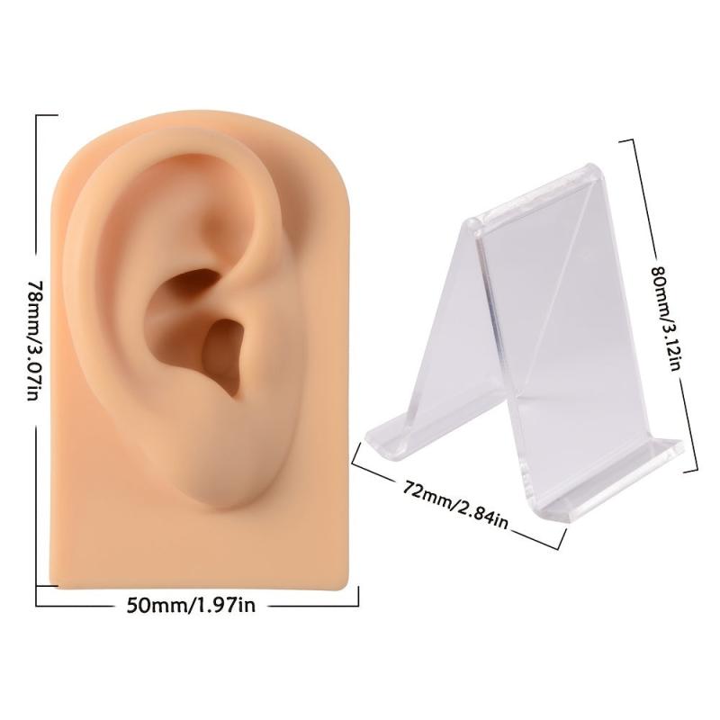 3pcs Soft Silicone Ear Models Piercing Practice Display Models
