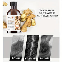 Ginger Refreshing Hair Shampoo 250g for All Hair Types