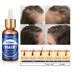 Rosemary Hair Care Essential Hair Care Serum Healthy Hair Penetrates