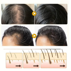 Hair Thicker Cream for Stronger Roots & Healthy Hair