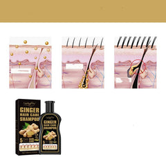 Ginger Hair Care Shampoo Repair Split Dry Hair Strong Hair Roots