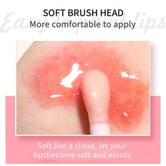 Set Of 3 Lip Gloss Hydrating Moisturizing Plumping Lip Tinted Lip Care