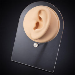 Flexible Silicone Model for Practice and Display