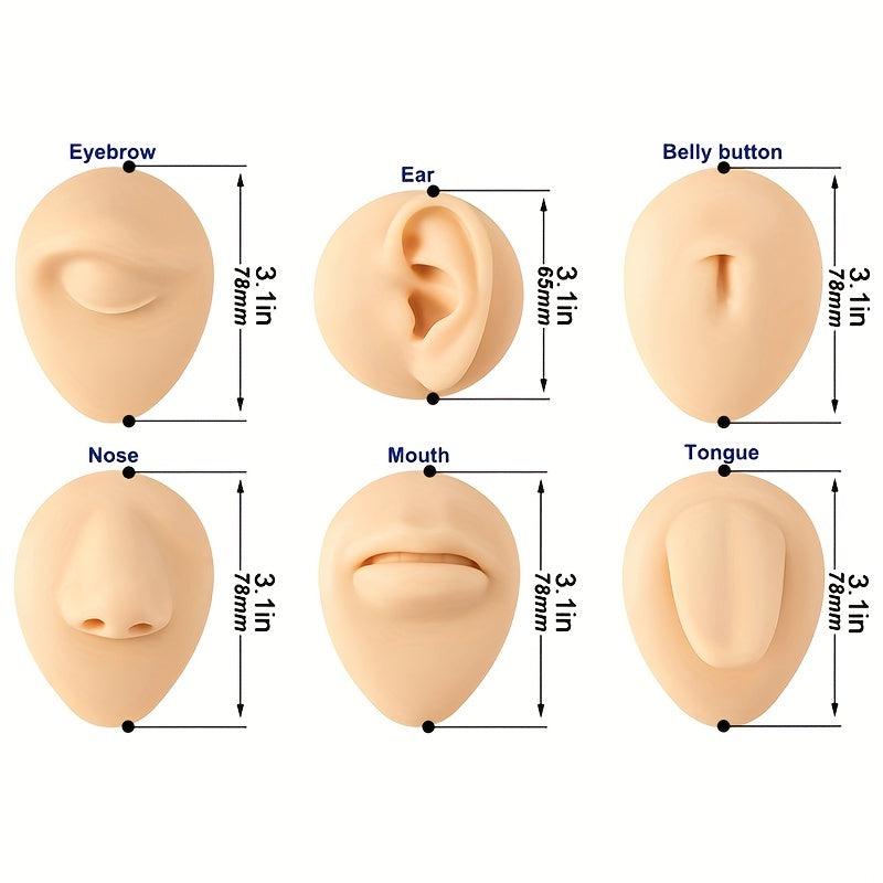 Flexible Silicone Model for Practice and Display