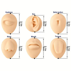 Flexible Silicone Model for Practice and Display