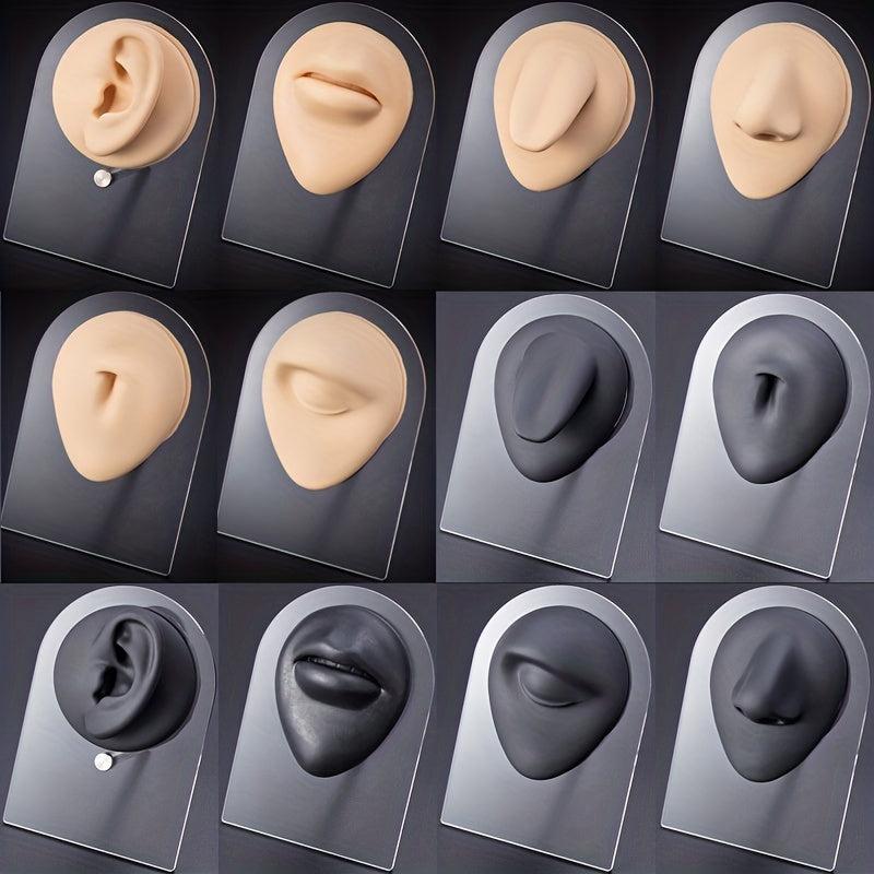 Flexible Silicone Model for Practice and Display