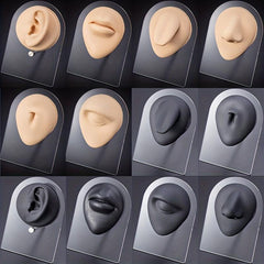 Flexible Silicone Model for Practice and Display
