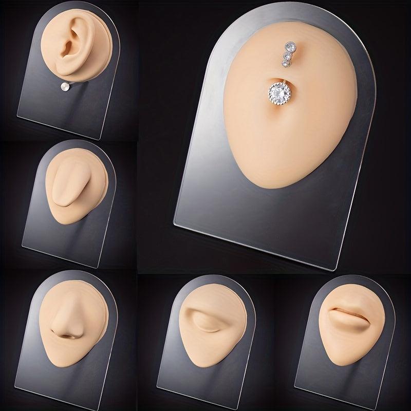 Flexible Silicone Model for Practice and Display