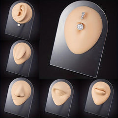 Flexible Silicone Model for Practice and Display