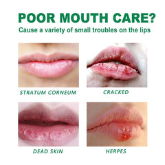 2Pcs 20g Herbal Lipstick Repairs Chapped Lips Moisturizes Lips