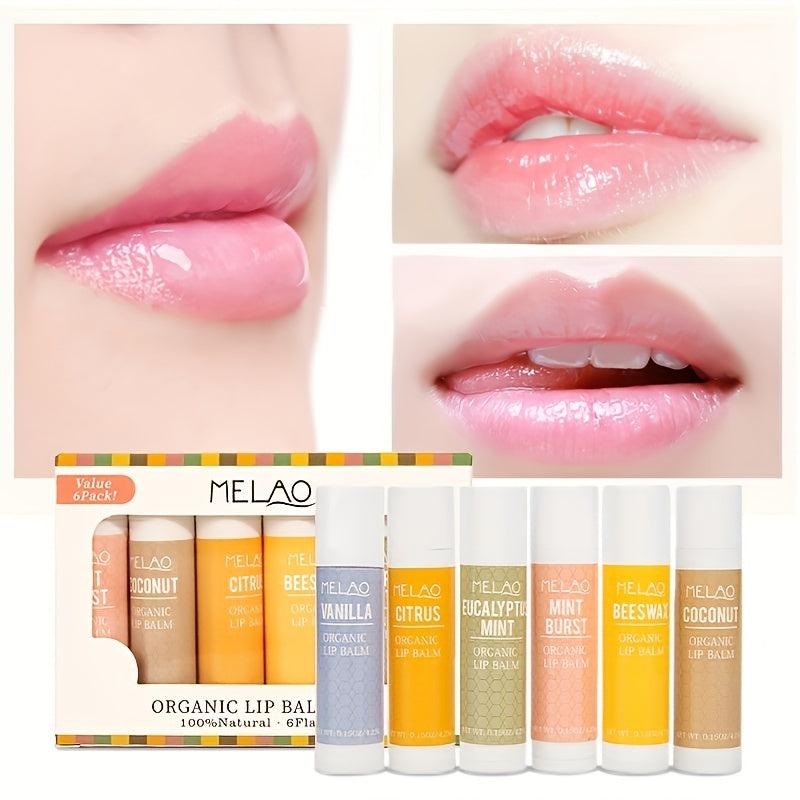 Organic Lip Balm Set 6 Pack Aloe Olive Beeswax Essential Variety