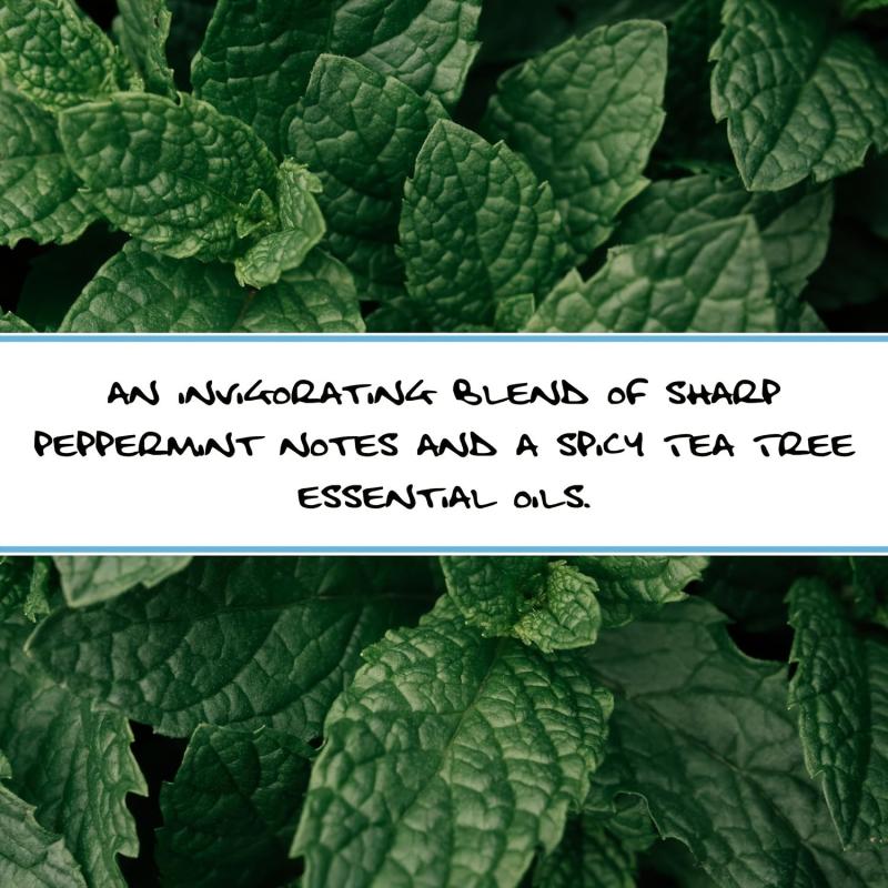 4-Pack Peppermint Body Soap 9.16 Oz
