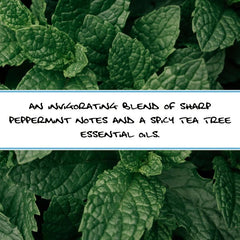 4-Pack Peppermint Body Soap 9.16 Oz