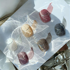 6Pcs Glitter Shell Thread Gel Nail Polish Kit