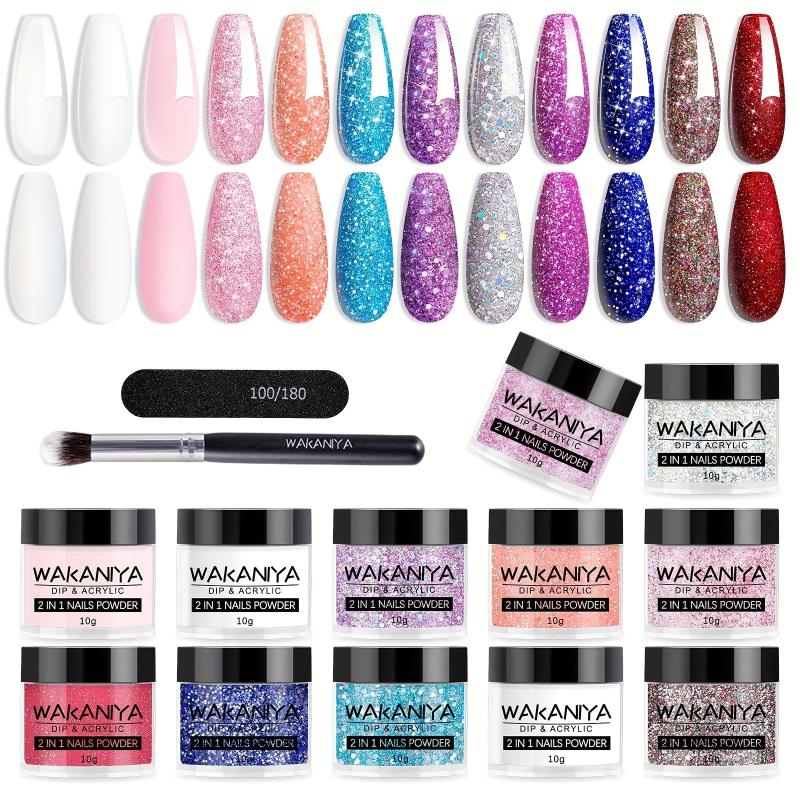 12 Colors Dip & Acrylic Nail Powder Starter Kit
