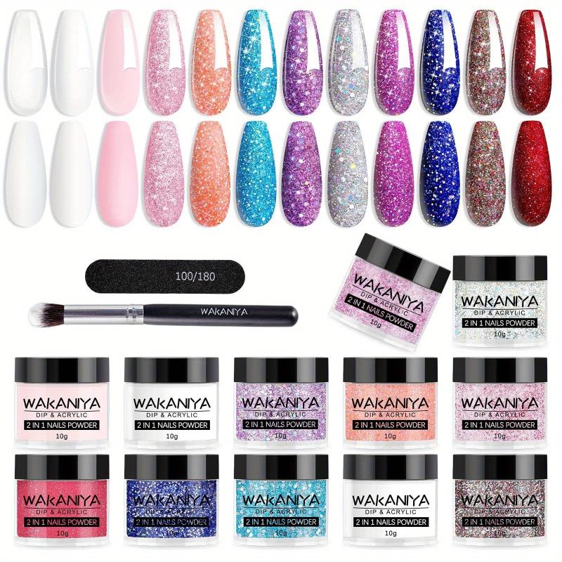 12 Colors Dip & Acrylic Nail Powder Starter Kit