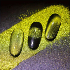 Cat Eye Nail Polish with Pigment Powder for DIY Nails