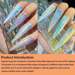 10 Colors Chameleon Pigment Powder for Nail Art DIY