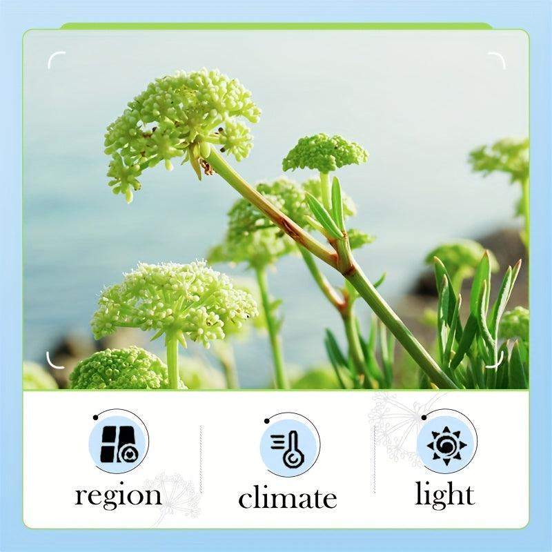 Sea Fennel Hyaluronic Acid Facial Cleanser 100g
