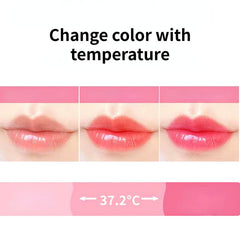 Moisturizing Lipstick Anti Cracking Jelly Lipstick Long Lasting Makeup