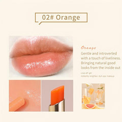 Hydrating Tinted Lip Balm Nourishing Shell Shape