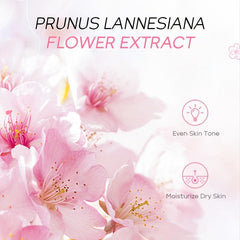 Underarm Even Skin Tone Cream with Sakura Essence