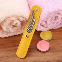 6 Pcs Stainless Steel Ear Pick Set with Storage Box