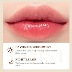 Coconut Moisturizing Lip Balm Anti Dry Cracking Lip Care
