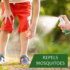 Natural Herbal Bug Spray Plant Based Insect Repellent Indoor Outdoor Use