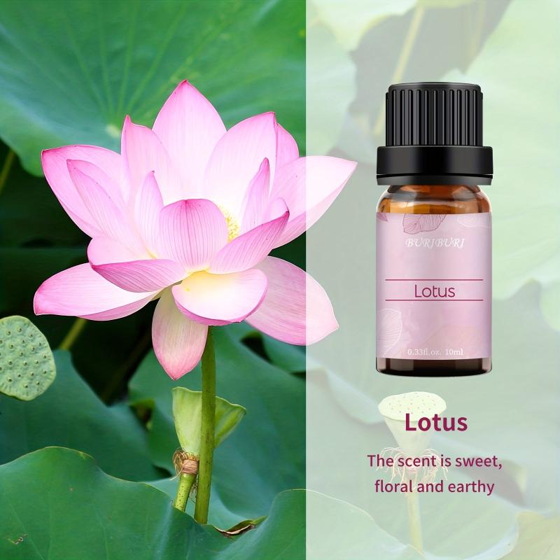 Lotus Fragrance Aromatherapy Essential Oil 10mL