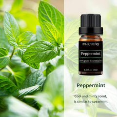 Peppermint Essential Oil 10mL Aromatherapy Refreshing Fragrance