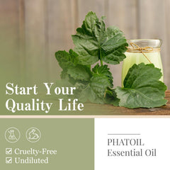 10ml Patchouli Essential Oil - Aromatherapy Diffusers, Skin Care