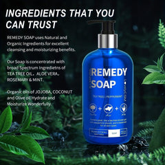 Tea Tree Essential Body Wash with Aloe Vera - 16 oz